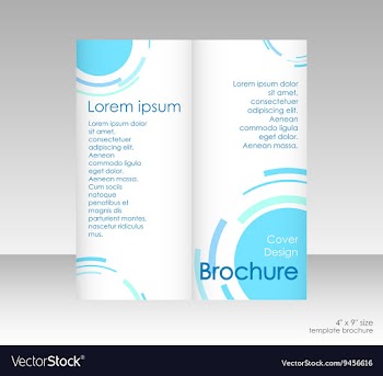 Business brochure template vector image