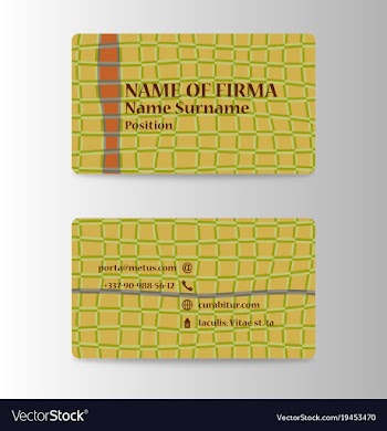 Business card creative abstract visit card vector image
