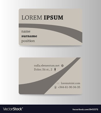 Business card creative visit card vector image