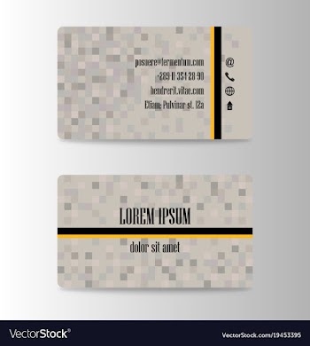 Business card creative visit card vector image