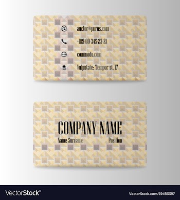 Business card creative visit card vector image