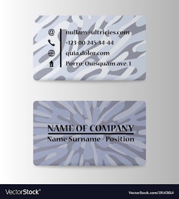 Business card design vector image