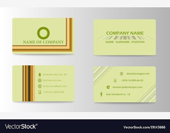 Business card design vector image