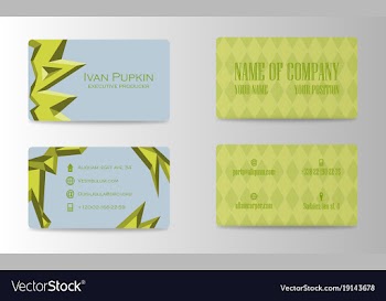 Business card design vector image