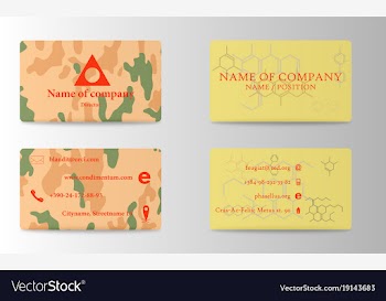 Business card design vector image