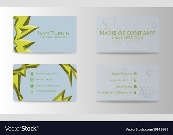 Business card design vector image