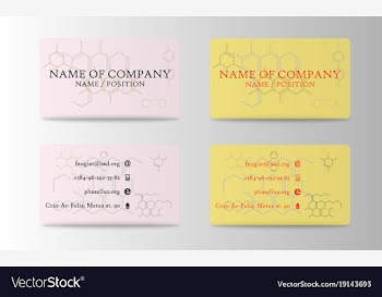 Business card design vector image