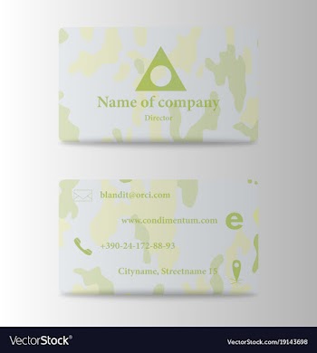 Business card design vector image