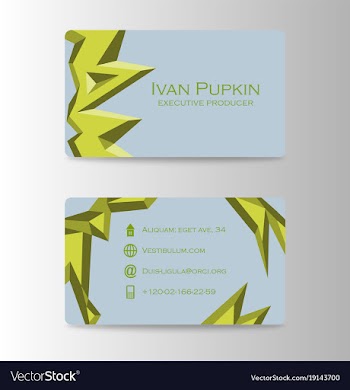 Business card design vector image