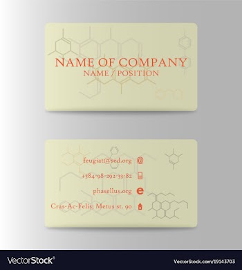 Business card design vector image