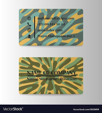 Business card design vector image
