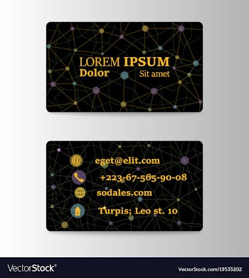 Business card design vector image