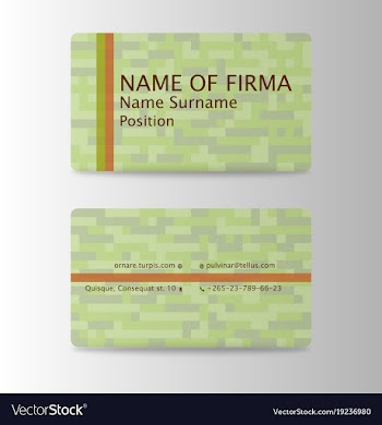 Business card elegant design vector image