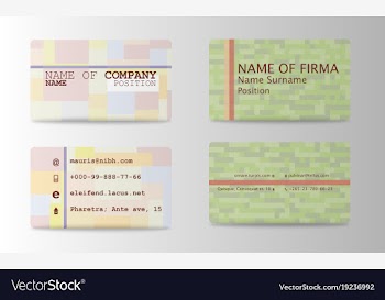 Business card elegant design vector image