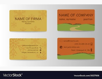 Business card elegant design vector image