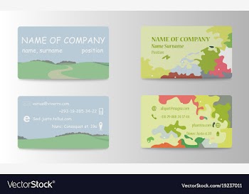 Business card elegant design vector image