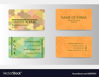 Business card elegant design vector image