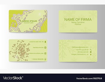 Business card elegant design vector image