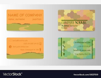 Business card elegant design vector image