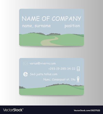 Business card elegant design vector image