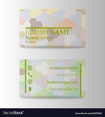 Business card elegant design vector image