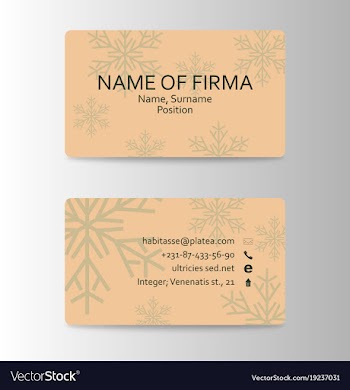 Business card elegant design vector image