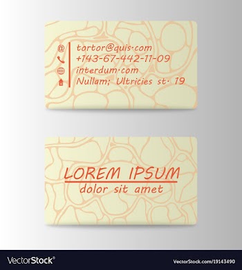 Business card ideas for designers and web design vector image