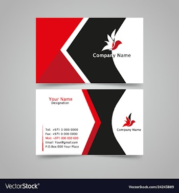 Business card vector image
