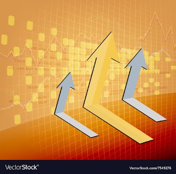 Business chart vector image
