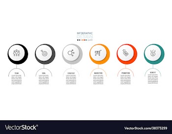 business concept infographic template with option