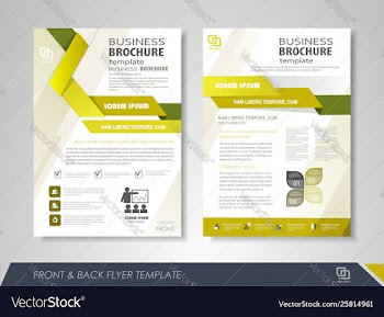 Business flyer layout vector image