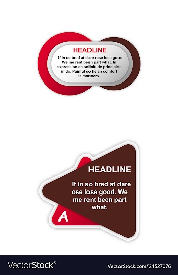 Business infografic template presentation vector image