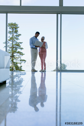 Business people using laptop in modern patio doorway