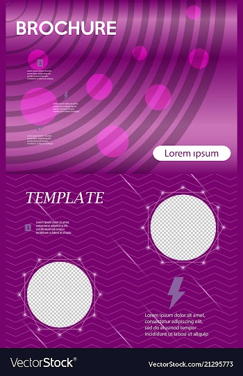 Business presentation template from infographic vector image
