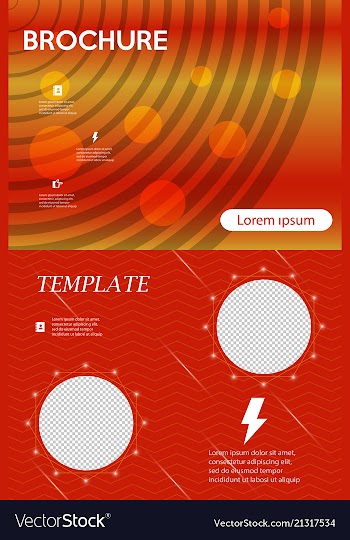 Business presentation template from infographic vector image