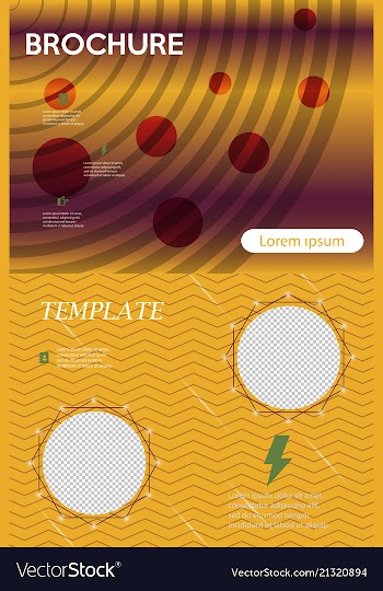 Business presentation template from infographic vector image