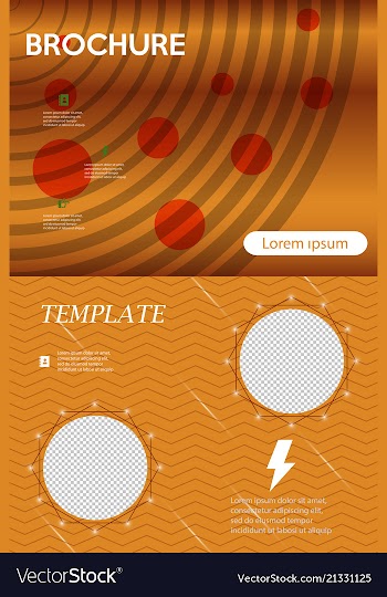 Business presentation template from infographic vector image