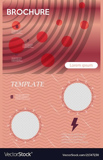 Business presentation template from infographic vector image