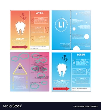 Business set brochure template layout cover vector image
