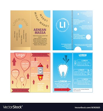 Business set brochure template layout cover vector image