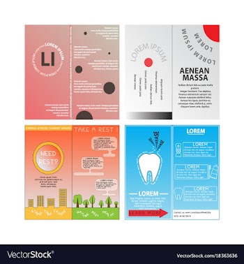 Business set brochure template layout cover vector image