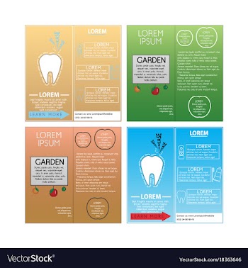 Business set brochure template layout cover vector image