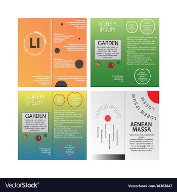 Business set brochure template layout cover vector image