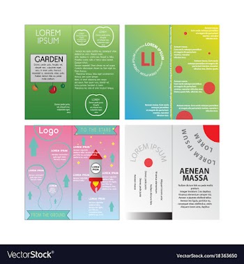 Business set brochure template layout cover vector image