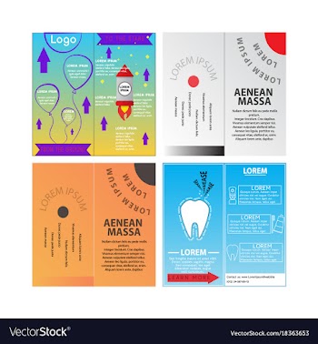Business set brochure template layout cover vector image