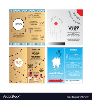 Business set brochure template layout cover vector image