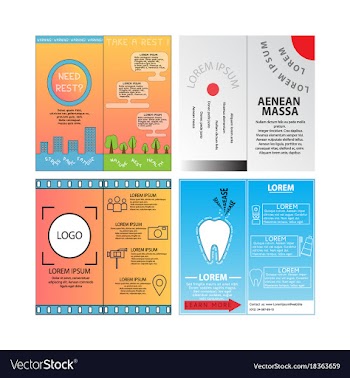 Business set brochure template layout cover vector image