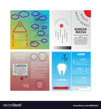 Business set brochure template layout cover vector image