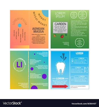 Business set brochure template layout cover vector image