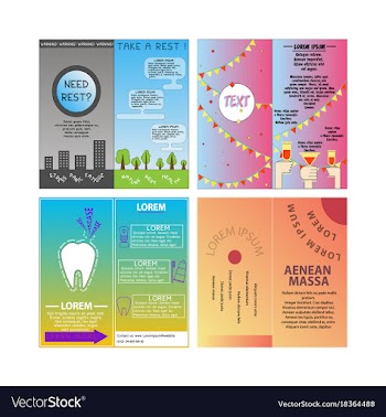 Business set brochure template layout cover vector image